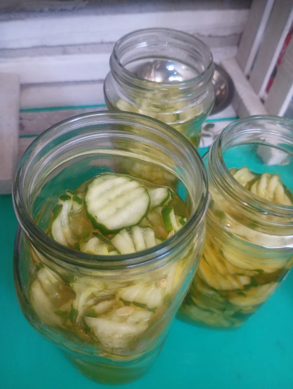 Glass jars packed with golden pickle chips in brine